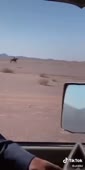 360x712