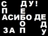 406x310
