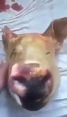 360x626