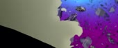 1280x534