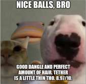 559x544