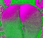1204x1080
