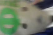 540x360