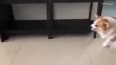 400x224