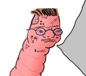 592x532