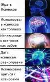 366x604