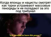 499x362