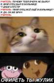 836x1280