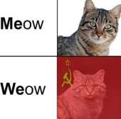 726x720
