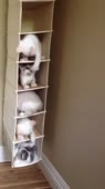 406x720