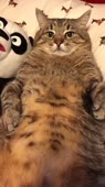 406x720