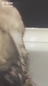 320x568