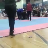 360x360