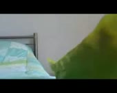 300x240