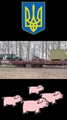 576x1024