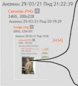 234x256