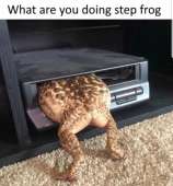 700x750
