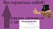 1536x864