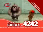 320x240
