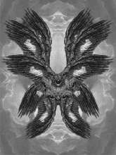 1000x1333