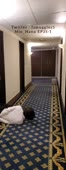 500x1278