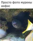 700x868