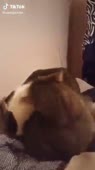 360x640