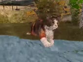 480x360