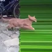 360x360