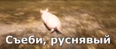 680x288