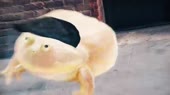 640x360