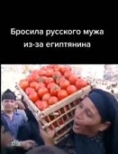 496x640