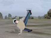 480x360