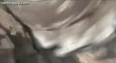 420x231