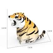 800x800