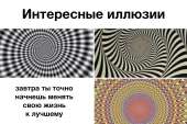 1252x837