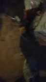 720x1280