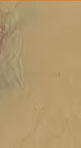 198x360