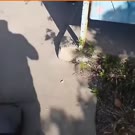 360x360