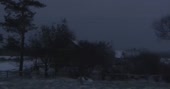 1280x676
