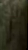 240x416