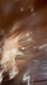 640x1136