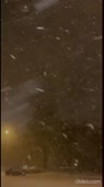 490x872