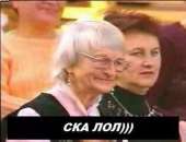 600x462