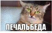540x342