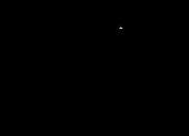 460x335
