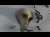 480x360