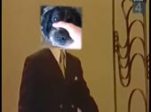480x360