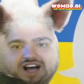 256x256