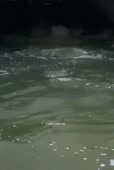 540x800